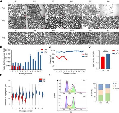 Scalable expansion of human pluripotent stem cells under suspension culture condition with human platelet lysate supplementation